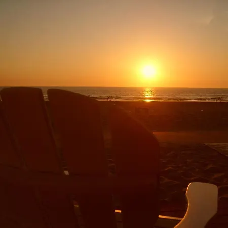 Luxe Strandhuisje, Dagelijks Verse Broodjes En Extra's Inbegrepen *