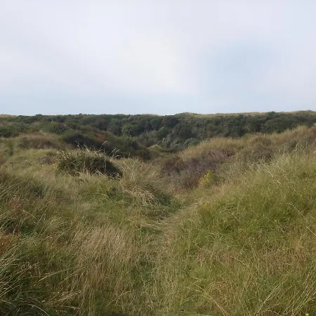 Luxe Strandhuisje, Dagelijks Verse Broodjes En Extra's Inbegrepen