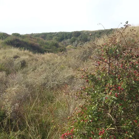 Luxe Strandhuisje, Dagelijks Verse Broodjes En Extra'S Inbegrepen شاليه *