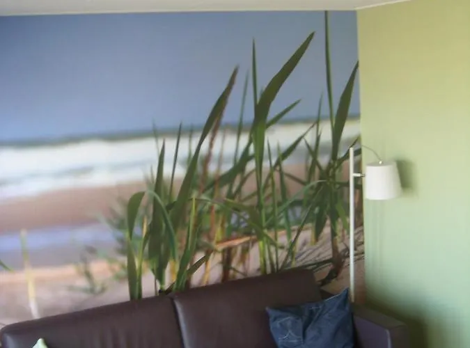 شاليه Luxe Strandhuisje, Dagelijks Verse Broodjes En Extra'S Inbegrepen فيكْ آنْ زي