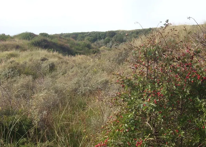Luxe Strandhuisje, Dagelijks Verse Broodjes En Extra'S Inbegrepen شاليه *