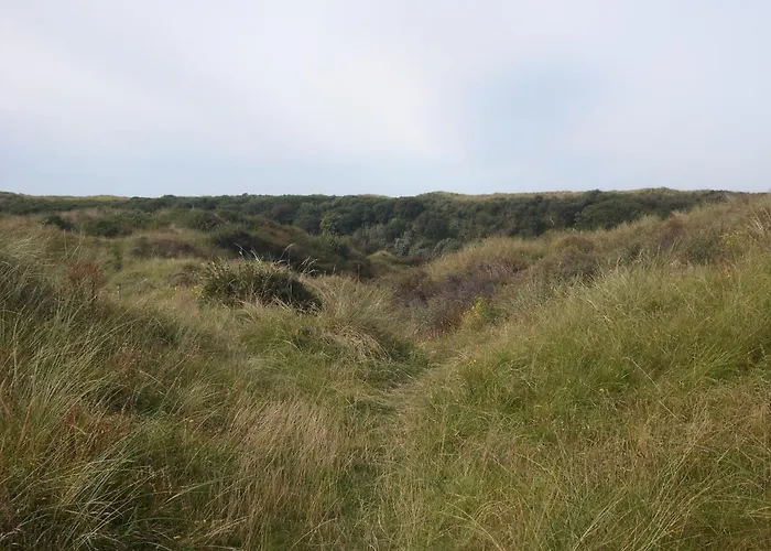 Luxe Strandhuisje Op Het Met Wifi